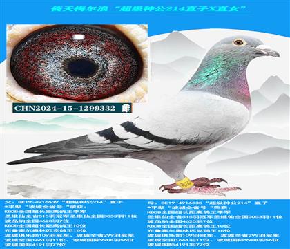中长距离专线→倚天梅尔浪“超级种公214直子X直女”
