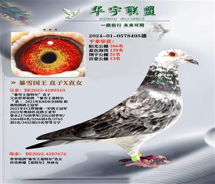 暴雪国王基特尔 直子X直女 超级种雄