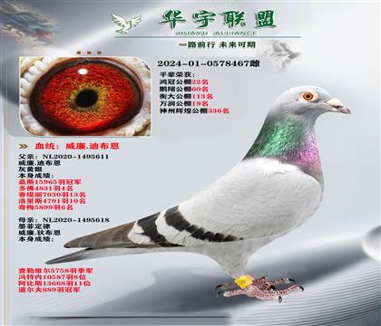 威廉迪布恩 墨菲定律直子X直女 金姆