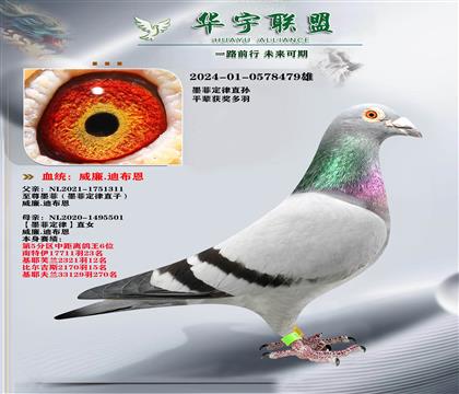 威廉迪布恩 墨菲定律直子X墨菲定律直女 种雄