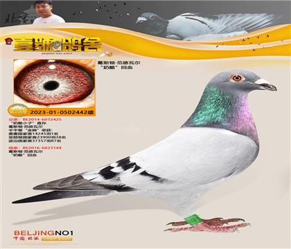 北京壹号鸽舍张斌作出“奶酪”回血