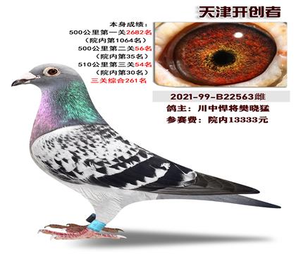 川中悍将樊晓猛选送天津开创者 本身510公里30名