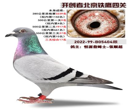 恒源詹姆士-张顺超选送开创者北京铁鹰四关