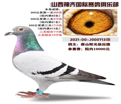 唐山阳光徐应捷选送山西神奇俱乐部 本身院内81名