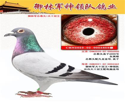 御林军神领队鸽业”总教头+大十冠王“