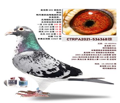 台湾明月集团“麦克斯695”曾孙代