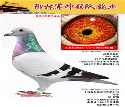 御林军神领队袁树水“御林军总教头血系”