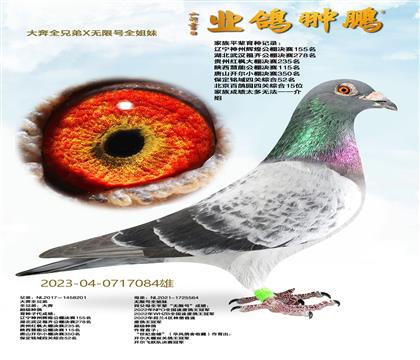 ��ȫ�ֵ�X���޺�ȫ����