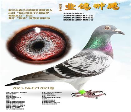 ������ֱ��X��������ŷֱŮ