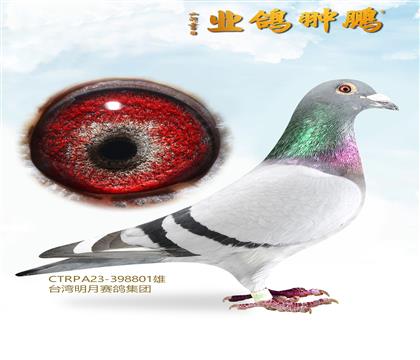 ̨������ɣ��ʿ�ǹ���