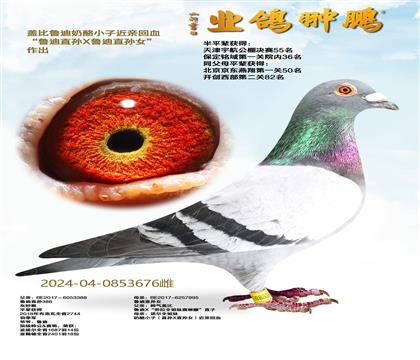 �Ǳ�³�� ����С�ӽ��׻�Ѫ