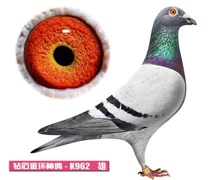 盖比-闪电号K962