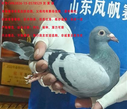 ����һ�ر�ӮǮ����