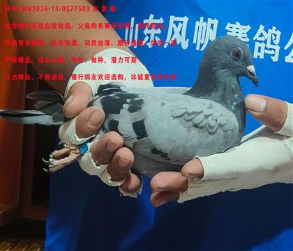 �����Ҵ�