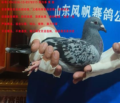 �Կ����ͷ���
