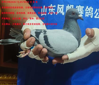 ����һ���ϰ�