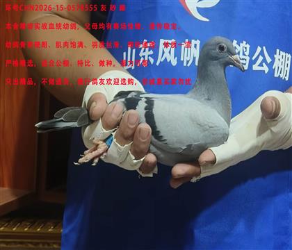 ���ᳬ���Ƽ����Ǳ�