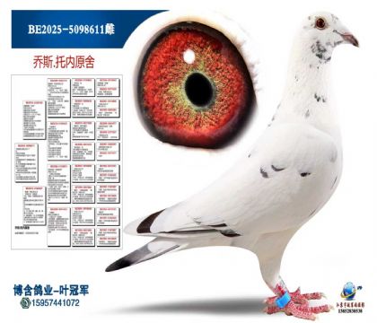 ����X��ѩ����ȫ����ֱŮ