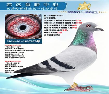 �𻷣��¡���ʱ��870�š�