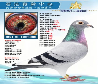 �𻷣��¡��Ǳ�Ӣ�ۺš�