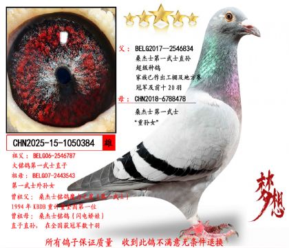 ���ص��Ƽ���ɣ��ʿ��һ��ʿֱ��X��һ��ʿ����Ů