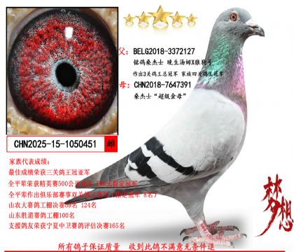ɣ��ʿ������ķXɣ��ʿ������ĸ