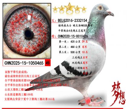 ����ɣ��ʿ ������ķX�ǹ���X��˫�عھ������Ǿ���