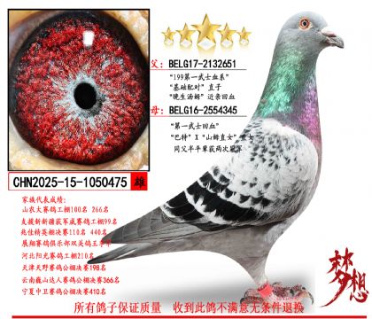 ��199��һ��ʿѪϵ��X����һ��ʿ��Ѫ��