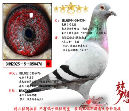 �������Ƽ���ɣ��ʿ����2��ֱ��X������ֱ��