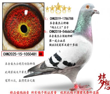 ɣ��ʿ������֮������������