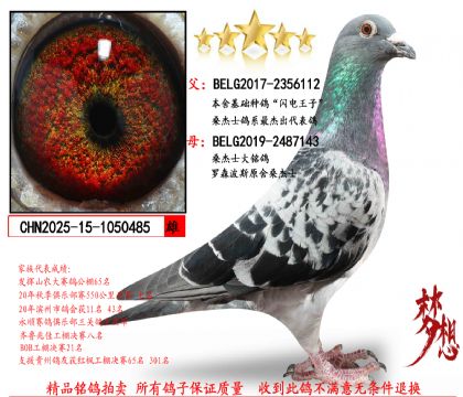 ���Ƽ����ۣ�ɣ��ʿ��������Xɣ��ʿ������