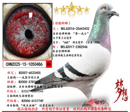 ���Ƽ���ɣ��ʿ��һ��ʿ����ѫ���ۡ�